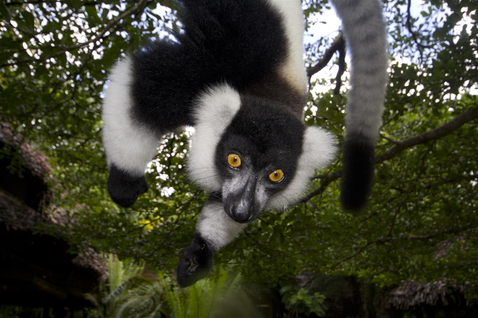 Madagascar wildlife Tour Packages from Kuwait