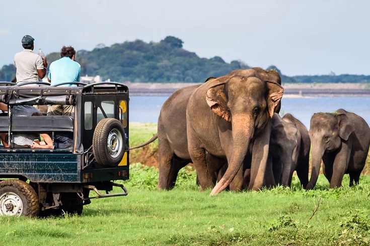  Sri Lanka Tour Package