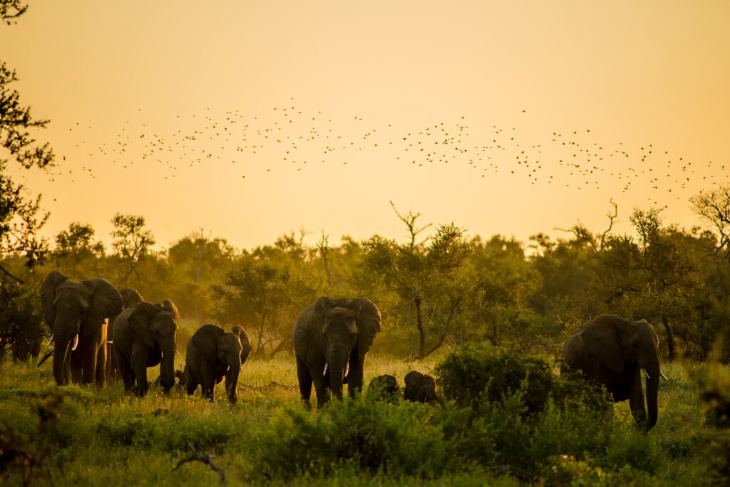 Tour in Namibia